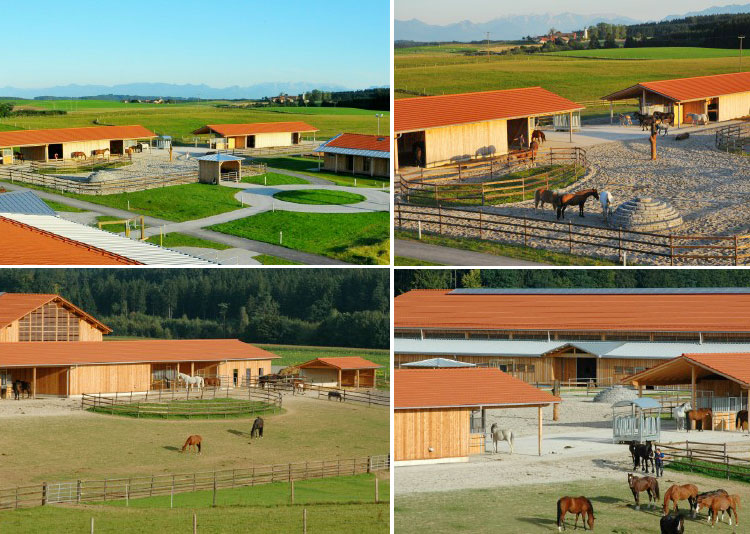 Reitanlage Reitschule Mnchen